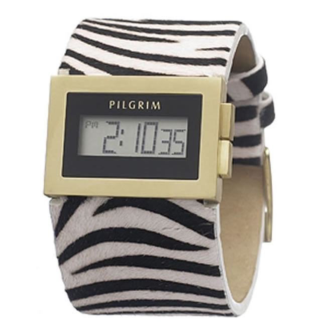 Pilgrim Watch