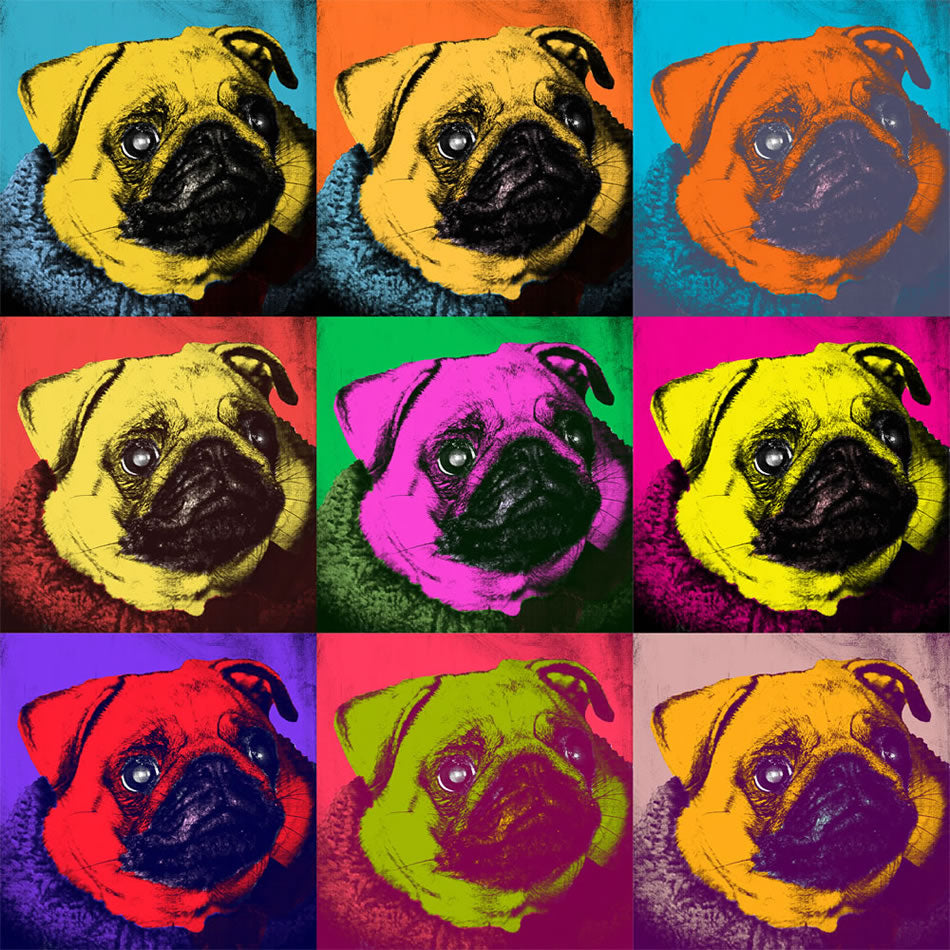 Dogs Pop Art, Pug.