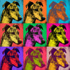 Dogs Pop Art. Sight Hound.