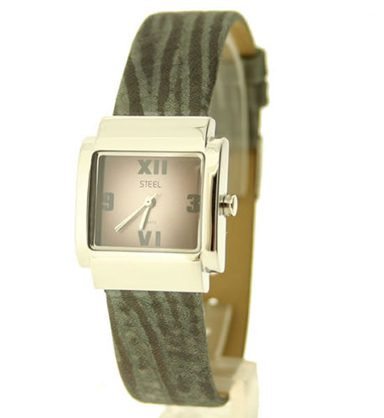 Steel Watch