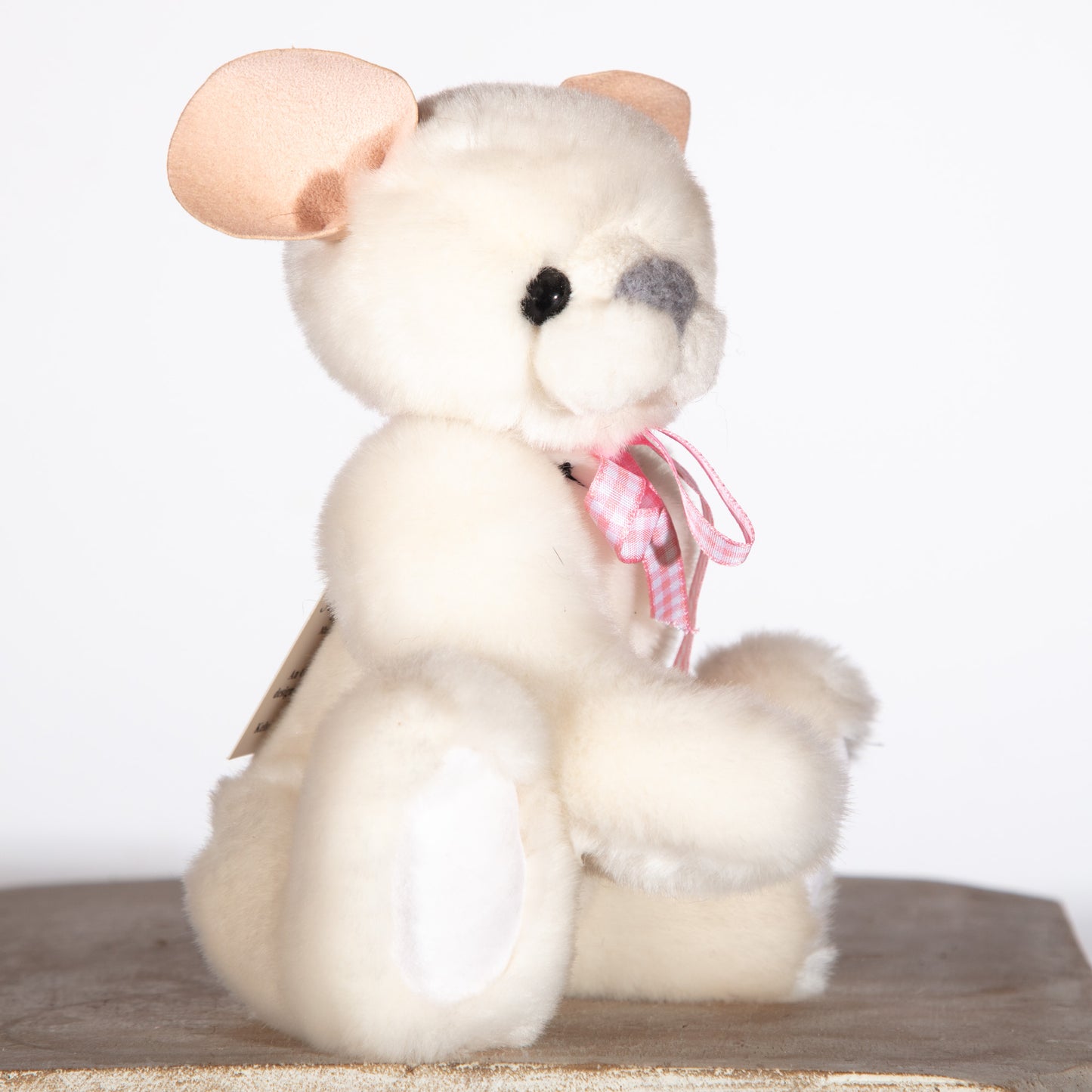 Kaycee Bears, Squeak