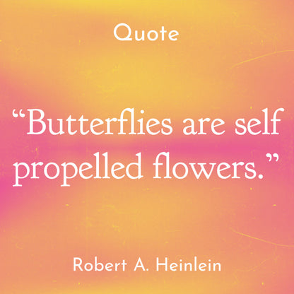 A&C Tropical Butterfly, Bangle, Fushia/Orange/Silver