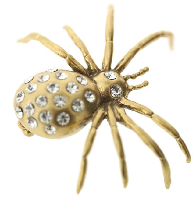 A&C Spiders Web Reaslistic Spider Brooch