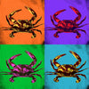 Crabs Pop Art.
